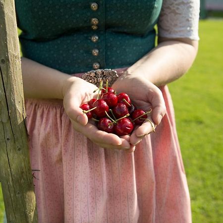 Obstgarten Gaestehaus Hollenstein an der Ybbs Bagian luar foto